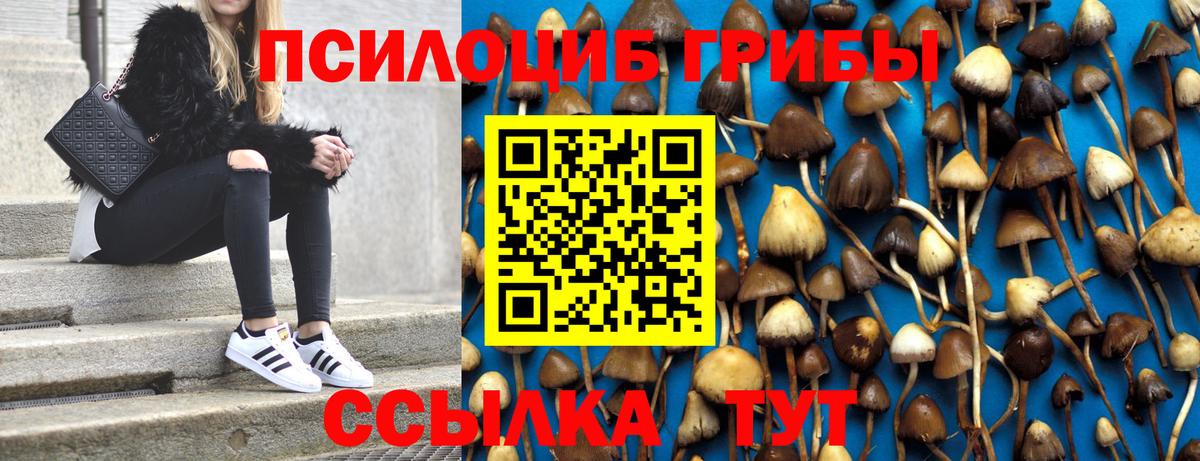 Псилоцибиновые грибы ЛСД  Псилоцибиновые грибы Magic Shrooms  Вход с VPN  Киров 