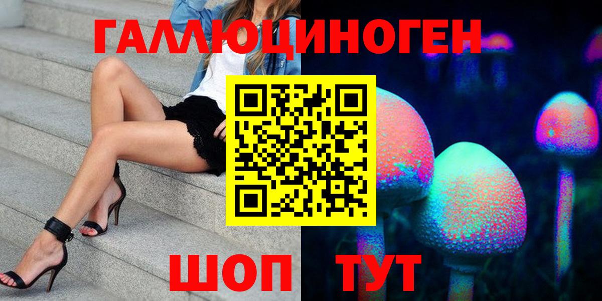 Псилоцибиновые грибы Psilocybe Киров